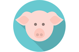 disegno ddi un maialino