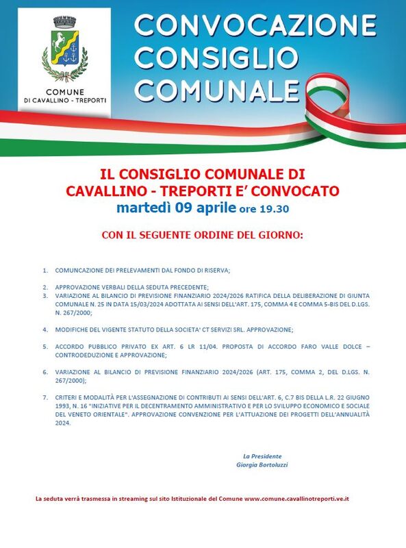 Consiglio Comunale  locandina